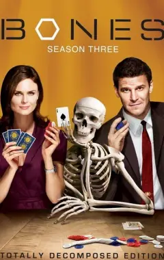 постер Кости 3 сезон