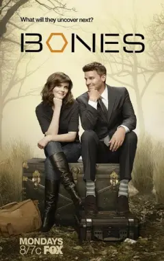 постер Кости 10 сезон