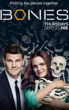 постер Кости 11 сезон